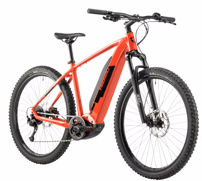 Sportliches elektrisches Mountainbike mit starkem Bosch Motor
